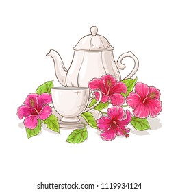 hibiscus tea illustration