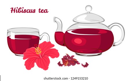 Hibiscus tea set isolated on white background. Glass cup and teapot, fresh and dried red flower. Vector illustration in cartoon simple flat style.