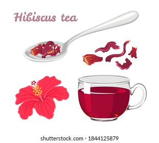 Hibiscus tea set. Red flower, dried leaves in spoon, glass cup with  drink isolated on white background. Vector illustration in cartoon flat style.