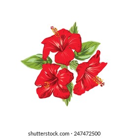 hibiscus tropical flower composition vector illustration
