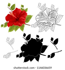 Hibiscus tropical flower red color natural outline and silhouette  on a white background vintage  vector  botanical illustration editable hand draw