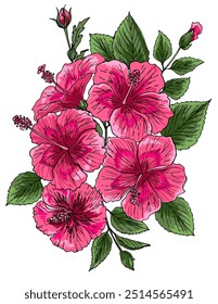 Hibiscus tropical flower sketch on white background. Botany vector illustration	