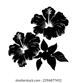 Hibiscus tropical flowers. Black and white graphic, of Hawaiian flora. Vector illustration on white isolated background. Good for packaging, posters, and social media.