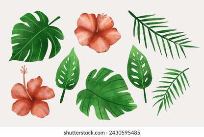 hibiscus tropical flowers vector element