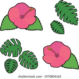 Hibiscus and tropical leaf illustration vector