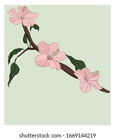 Hibiscus twig with flowers. Card template. Design for invitation, wedding, party banner, poster.