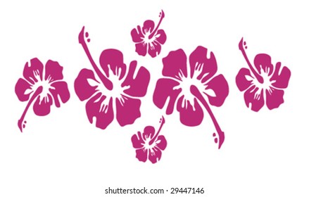 Hibiscus vector