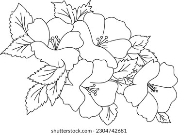 Hibiscus vector design  white and black background .