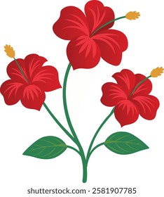 Hibiscus vector with flower stalks on white background