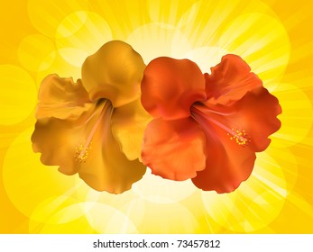 hibiscus vector flowers on a glowing yellow background