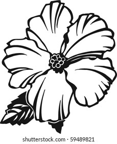 Hibiscus Vector Illustration