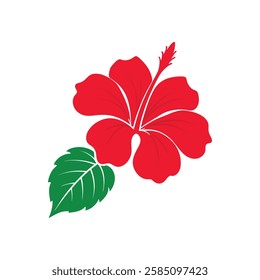 Hibiscus Vector Illustration Art for Digital and Print Designs