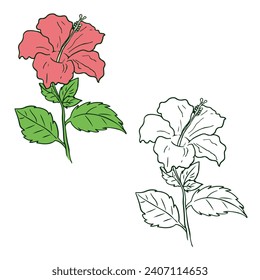 a Hibiscus Vector Illustrations. Simple Design Outline Style. You can give color you like.