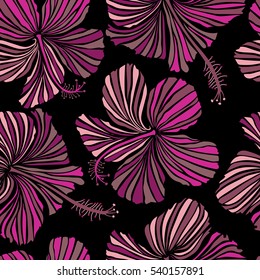 Hibiscus vector pattern on a black background. Seamless tropical flowers in pink, magenta and purple colors.