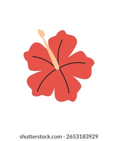 Hibiscus flor vibrante com pétalas vermelhas marcantes e um proeminente stamen amarelo, colocado contra um fundo branco plano.