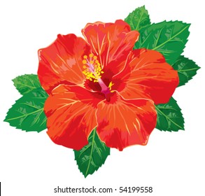 Hibiscus without gradients. Vector