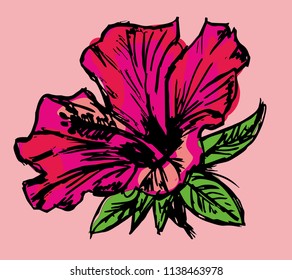 hibiscuse and cactuse flower graphic design vector art