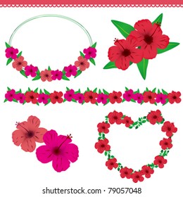 hibiscuses set