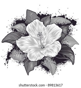 Hibiscus-Flower, Design Element