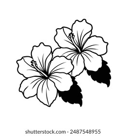 Hibiscus-flower-silhouettes vector, this is a editable file.