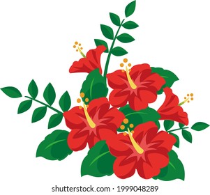 Hibiscus,Summer traditional icon illustration vector image