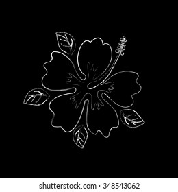 Hibiscus.Vector Summer background with tropical flower.
