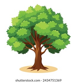 Hickory Tree isolated on a white background