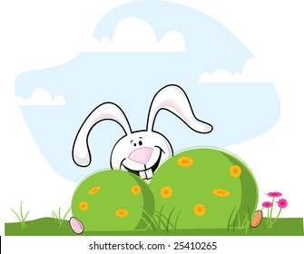 Hiding Bunny