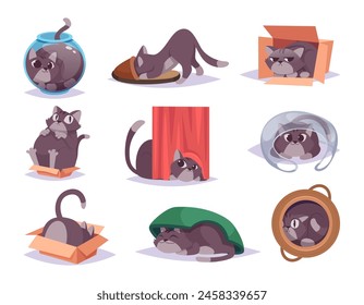 Hiding pets. Domestic kitten hidden in interior space indoor cats in funny poses exact vector illustrations in cartoon style