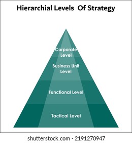 Hierarchical Levels Strategy Pyramid Infographic Template Stock Vector ...