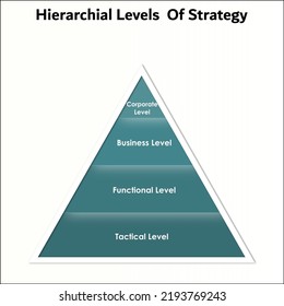 Hierarchical Levels Strategy Pyramid Infographic Template Stock Vector ...