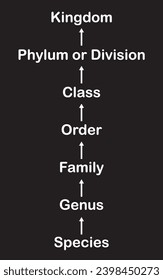 the hierarchy of biological classification, 
the taxonomic categories from species to kingdom, to life, the major ranks domain, kingdom, phylum, class, order, family, genus and species vector design