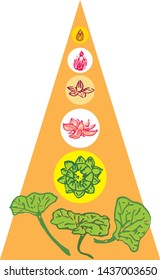
Hierarchy of consciousness Wake up to know buoyant