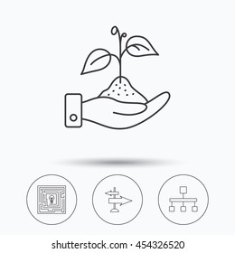 Hierarchy, save nature and direction arrow icons. Maze linear sign. Linear icons in circle buttons. Flat web symbols. Vector