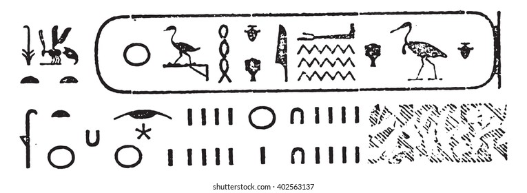 Hieroglyphic writing, vintage engraved illustration. Magasin Pittoresque 1857.
