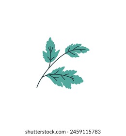 Higanbana leaves. Vector illustration of a branch with green leaves of the higanbana plant, used for decoration in Kabuki theatrical performances. Spider lily foliage element on isolated background. svg