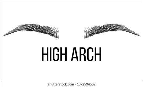 High Arch Vector Hand Drawn Brows Shape. Female Brows Style With Title Isolated Clipart. Microblading Master. Beauty, Cosmetology Salon. Makeup Tutorial Eyebrows Correction Realistic Illustration
