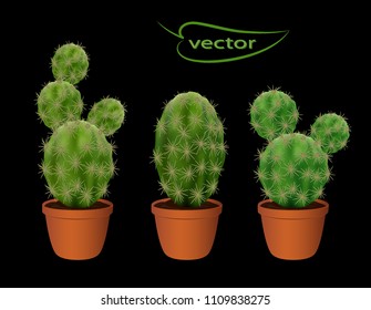 High branched cacti, houseplants, Flowers for Windows, place on the windowsill, light and dark green cacti, many different species. Decoration for home, room. Vector isolated illustration. 3D meshes