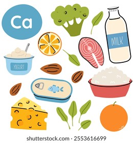 High calcium food sources. Set of products containing a great amount of calcium. Food rich of calcium
