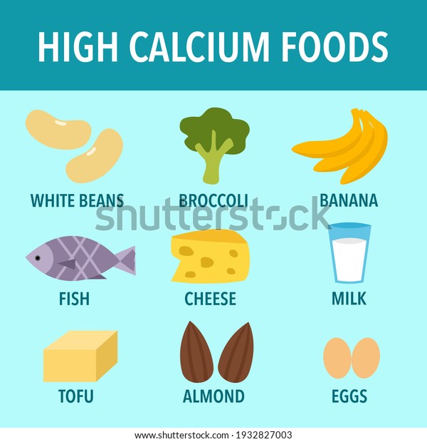 High Calcium Foods Infographic Vector Illustration Stock Vector ...