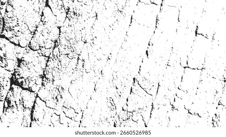 High Contrast Abstract Grunge Texture Black White Cracked Surface