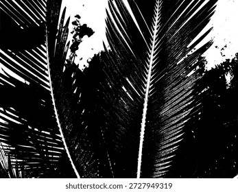 Kontrastreiche Silhouette mit schwarzem Palmenblatt. Abstrakte tropische Blattstifte für minimalistische Natur-, Sommer- und Stranddesigns.