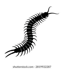 High contrast black silhouette of a centipede isolated on white background showing segmented body and numerous legs. Perfect for educational biology projects or designs.
