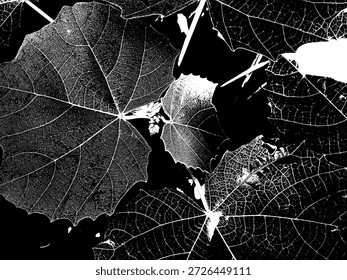 Silueta de hojas en blanco y negro de alto contraste. Ilustración gráfica botánica intrincada con vetas detalladas para plantillas minimalistas, diseño impreso y Elementos de arte modernos con temas de naturaleza orgánica.