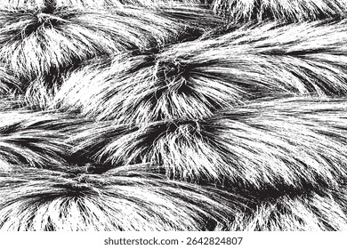 High Contrast Black and White Shaggy Fur Texture