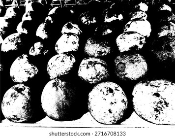 High contrast black and white vector illustration of guava fruits. Abstract botanical silhouette of Psidium guajava for organic food graphic design.