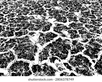 High contrast black and white vector illustration of cracked dry earth texture. Grunge pattern of parched drought mud ground with dry dead grass straws in a gritty sketch stencil art style.