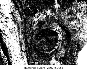 High contrast black and white vector silhouette of a rustic wood knot on old tree trunk. Organic grunge bark texture element for vintage woodworking and forest graphic design.