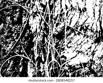 High contrast black and white vector illustration of cracked tree bark texture with fallen pine needles. Abstract grunge rustic wood silhouette pattern for organic branding and background.