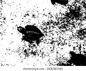 High contrast black and white vector silhouette of olive ridley sea turtle hatchlings swimming in a rehabilitation pool. Marine conservation graphic art stencil.